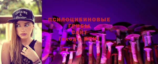 марки lsd Абаза