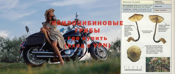 PSILOCYBIN Абдулино