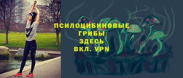 PSILOCYBIN Абдулино