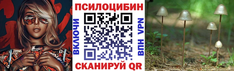 как найти   Хабаровск  kraken   Псилоцибиновые грибы MAGIC MUSHROOMS 